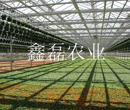 花卉、育苗基地