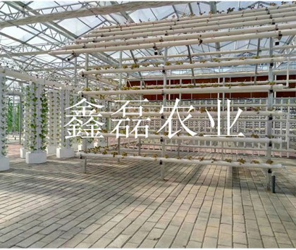 花卉、育苗基地