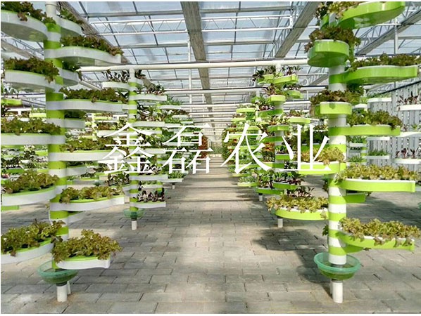 花卉、育苗基地